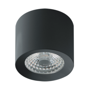 LED Ceiling Spot WW PWM Anthracite